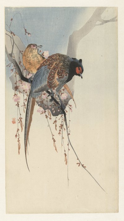 Sülün çifti ve erik çiçeği by Ohara Koson