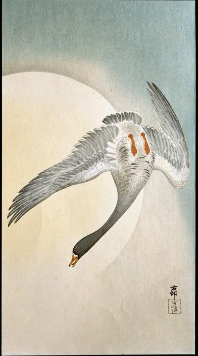 Ay ışığında ördek uçuşu Xylography ve Japon baskısı Ohara Koson (1877-1945) 1908 Özel koleksiyon DR by Ohara Koson