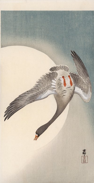 Ayın önünde alttan görülen beyaz önlü uçan kaz (renkli tahta baskı) by Ohara Koson