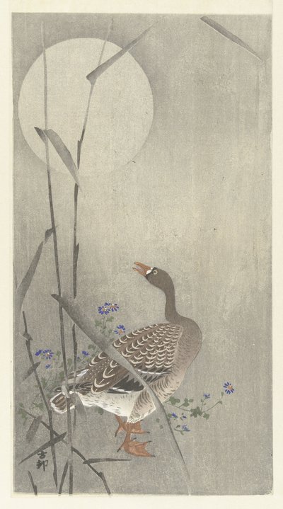Dolunayda kaz by Ohara Koson