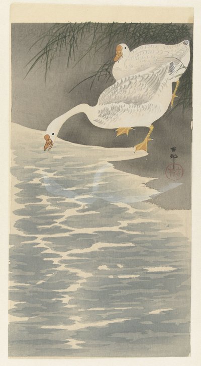 kıyıdaki kazlar by Ohara Koson