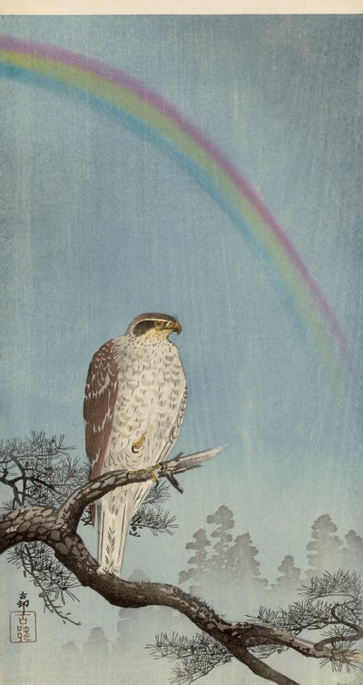 Üzerinde gökkuşağı olan bir çam ağacı üzerinde çakır kuşu (renkli tahta baskı) by Ohara Koson