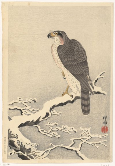 Çam ağacının karlı dalı üzerinde şahin by Ohara Koson