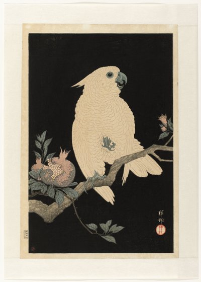 Narlı Kakadu by Ohara Koson