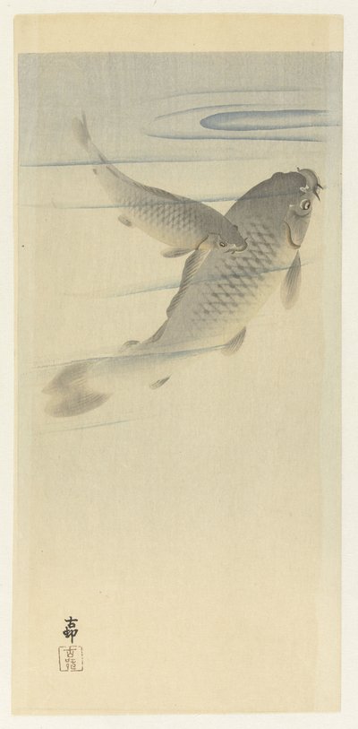 sazan by Ohara Koson
