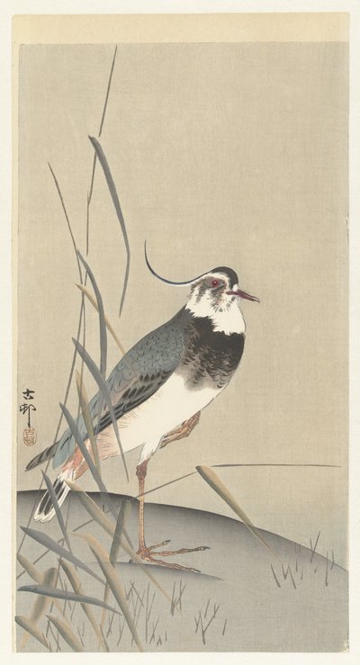 Lapwing ve kamış by Ohara Koson
