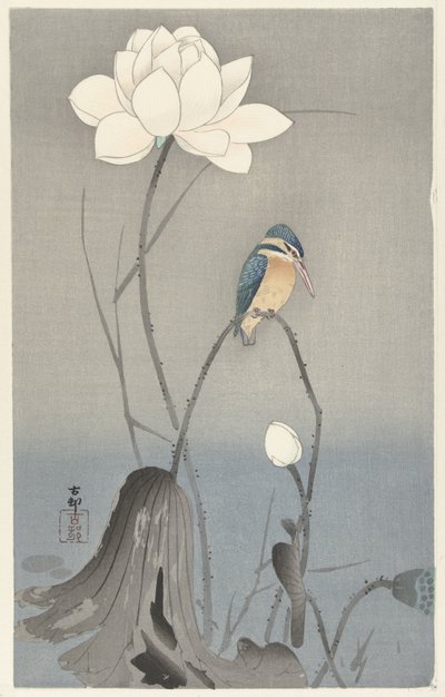 Lotus Çiçeği ile Yalıçapkını by Ohara Koson