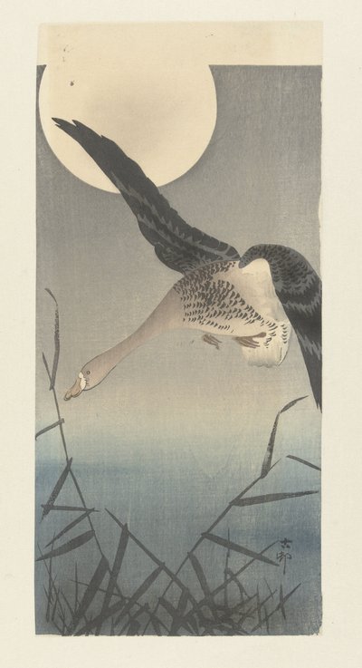 Dolunayda beyaz önlü kaz by Ohara Koson