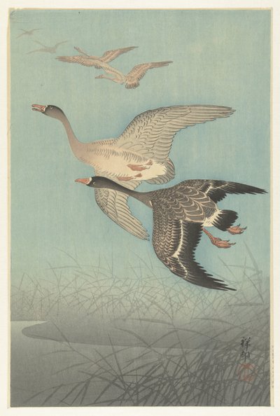 Beyaz önlü kazlar uçuşta by Ohara Koson