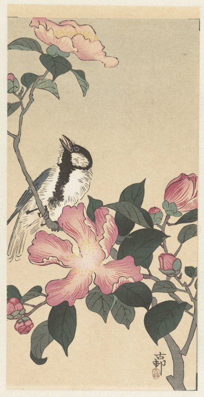 Pembe çiçekli dalda büyük baştankara by Ohara Koson
