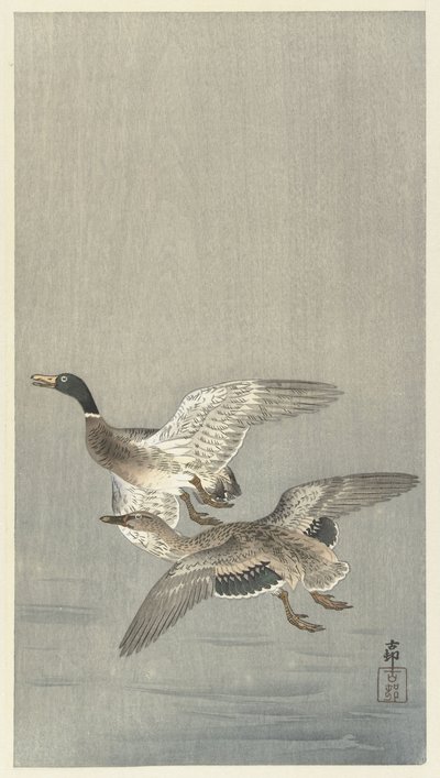 Çift ördek by Ohara Koson