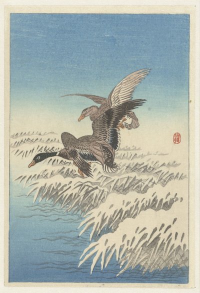 Karlı kamış yakanın üzerinde uçan ördek çifti by Ohara Koson