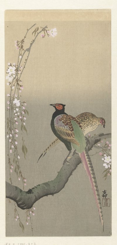 Sülün ve kiraz çiçeği çifti by Ohara Koson