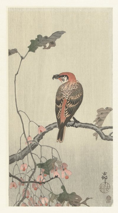 Ağaç dalı üzerinde çapraz fatura by Ohara Koson