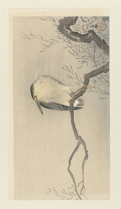 Tuhaf dalda Kwak. by Ohara Koson