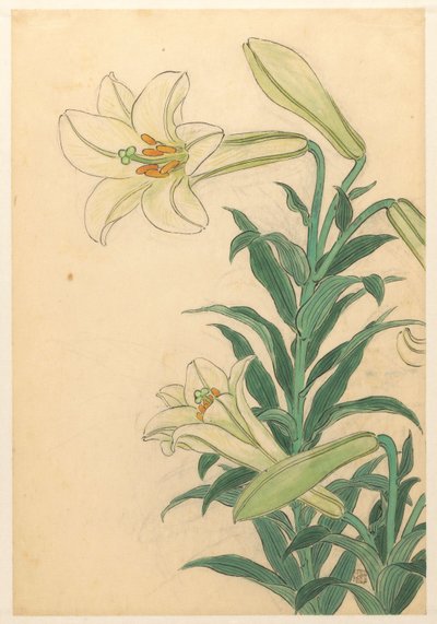 zambaklar Teppoyuri by Ohara Koson