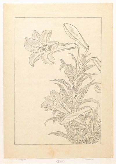 Lelies by Ohara Koson