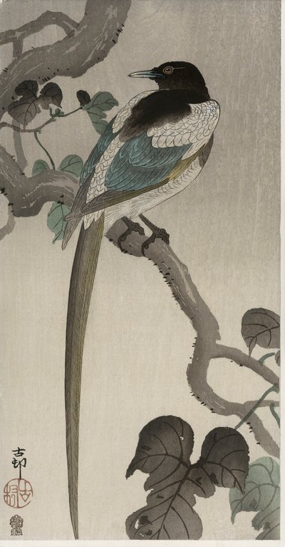 Bir Pauwolna dalında saksağan (renkli tahta baskı) by Ohara Koson