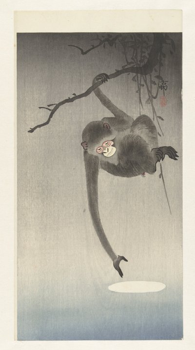 Maymun ayın yansıması için uzanır by Ohara Koson