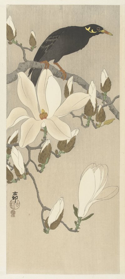 Manolya Dalı üzerinde Myna by Ohara Koson