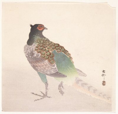 Sülün (renkli tahta baskı) by Ohara Koson