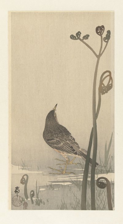 Rıhtımdaki bip sesi by Ohara Koson