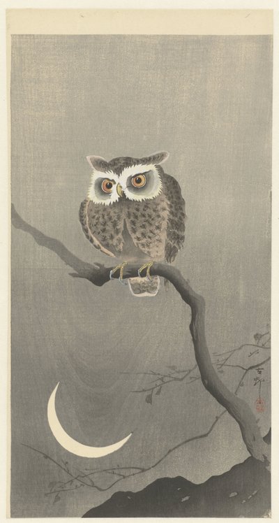 Ransuil çıplak ağaç dalı üzerinde by Ohara Koson