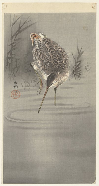 Suda kırpmak by Ohara Koson
