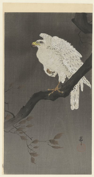 Bir dalda kar kartalı by Ohara Koson