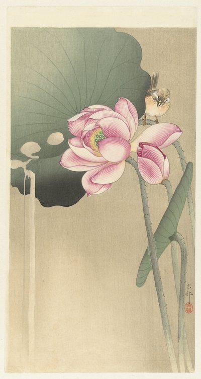 ötücü kuş ve lotus by Ohara Koson