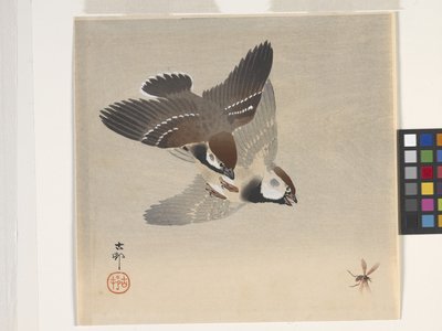 Uçan Böceği Kovalayan Serçeler (renkli tahta baskı) by Ohara Koson