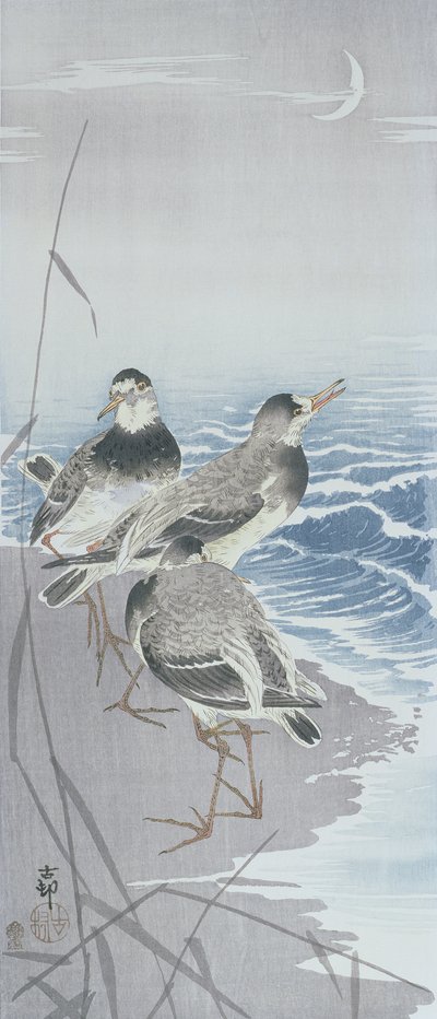 Su kenarında sazlıkların önünde üç çulluk (renkli tahta baskı) by Ohara Koson