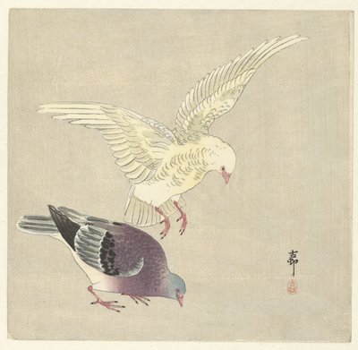 iki güvercin by Ohara Koson
