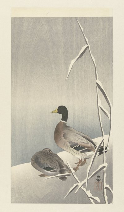 Karlı kamış üzerinde iki ördek by Ohara Koson