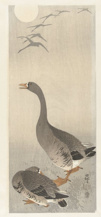iki kaz by Ohara Koson