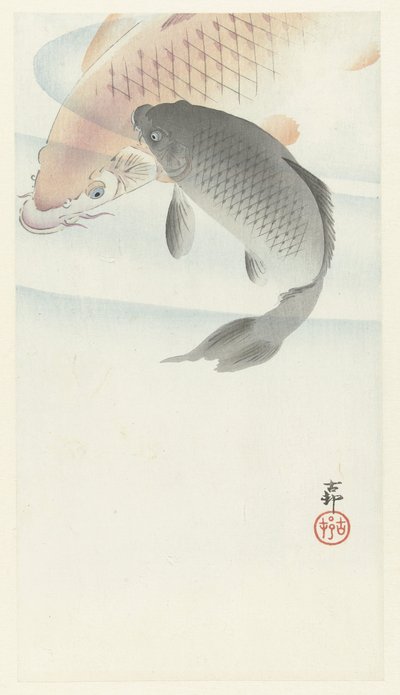 iki sazan by Ohara Koson
