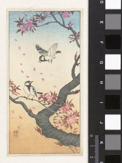 Çiçek açan bir ağaçta iki harika göğüsler by Ohara Koson