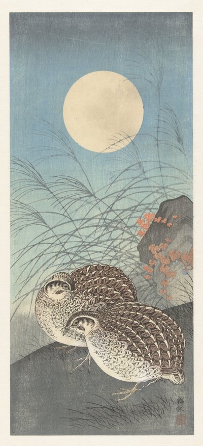 Dolunayda iki bıldırcın. by Ohara Koson