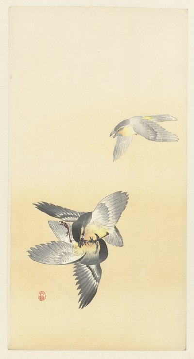 İki Savaşan Kuş by Ohara Koson