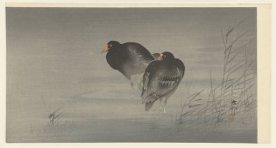 iki moorhen by Ohara Koson