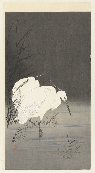 Sazlıklarda iki ak balıkçıl by Ohara Koson