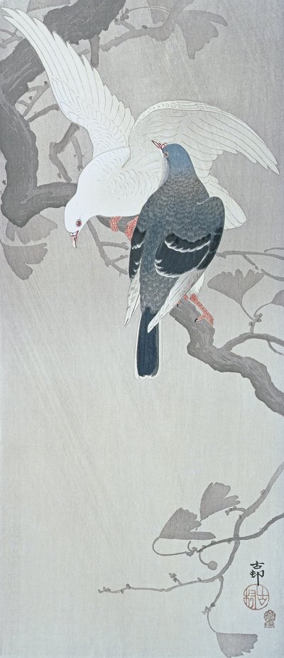 Bir Ginko ağacının dalında yağmurda iki güvercin by Ohara Koson
