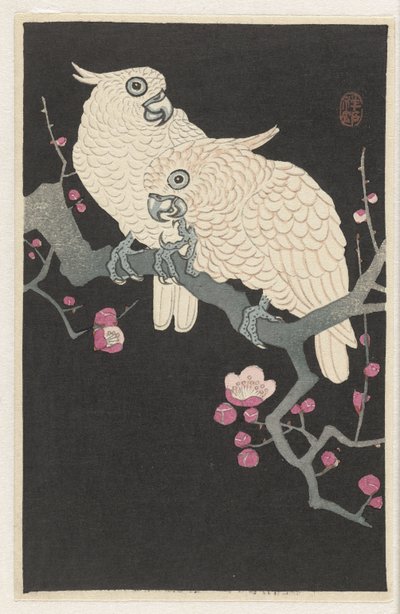 İki kakadu ve erik çiçeği by Ohara Koson