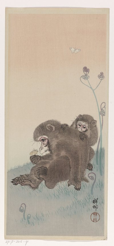 Kelebekli iki maymun, 1900-45 dolayları (renkli gravür) by Ohara Koson