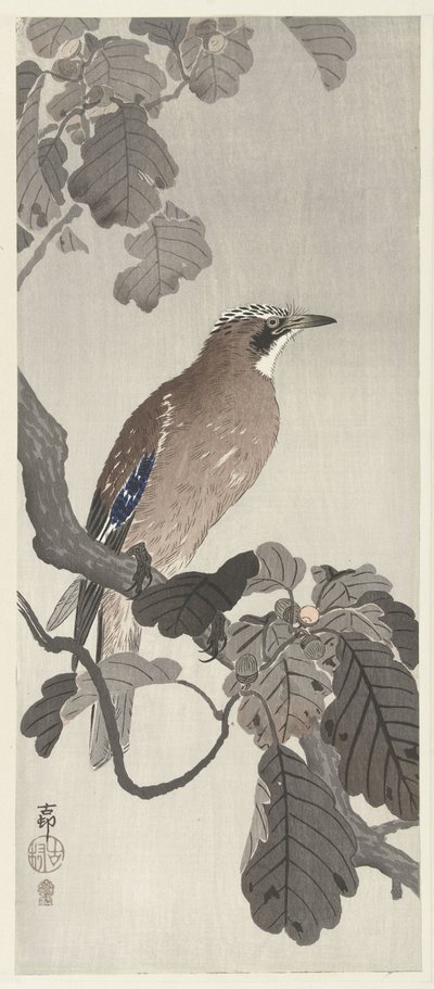 Ağaç dalı üzerinde Flaman gaai by Ohara Koson