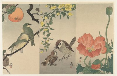 Kuşlar ve bitkiler by Ohara Koson