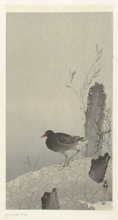 su hokkası by Ohara Koson