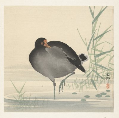 su hokkası by Ohara Koson