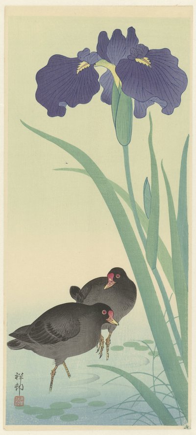 Moorhens ve iris. by Ohara Koson