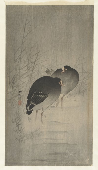 Sazlıklar arasında Moorhens by Ohara Koson